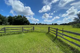 Cr 772C, Webster, FL 33597 - Photo 1