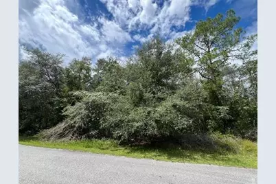 6252 N Cavalier Terrace, Citrus Springs, FL 34433 - Photo 1