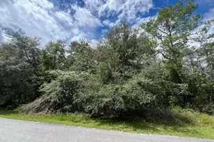 6252 N Cavalier Terrace, Citrus Springs, FL 34433 - Photo 1