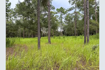 16051 SW 44 Street, Ocala, FL 34481 - Photo 2