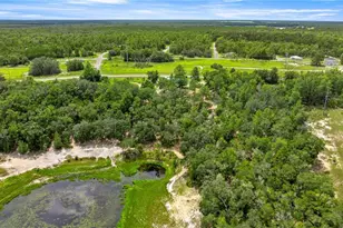 15901 SE 113th Street Rd, Ocklawaha, FL 32179 - Photo 28