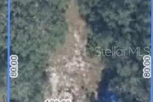 470 N Barrie Rd, Avon Park, FL 33825 - Photo 1