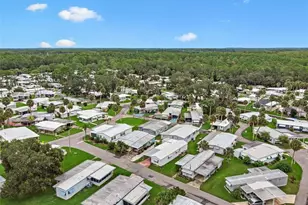 47 Cocos Plumosa Dr, Eustis, FL 32726 - Photo 32