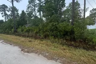 1362 East Pkwy, Deland, FL 32724 - Photo 1