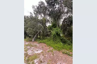 324 Cinema Drive, Lake Placid, FL 33852 - Photo 1