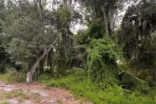 324 Cinema Dr, Lake Placid, FL 33852 - Photo 1