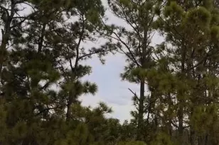 324 Cinema Dr, Lake Placid, FL 33852 - Photo 2