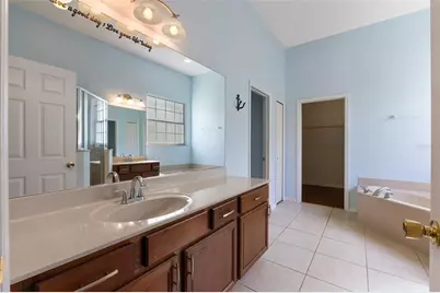 9932 Caroline Park Drive, Orlando, FL 32832 - Photo 22