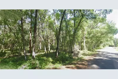 Sequoia Loop Trace, Ocklawaha, FL 32179 - Photo 2