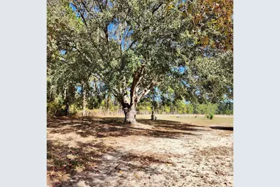 16021 SE 170th Avenue, Weirsdale, FL 32195 - Photo 32