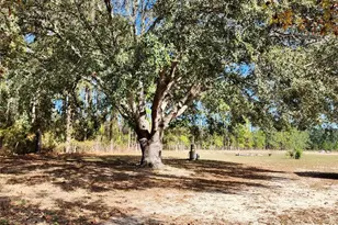 16021 SE 170th Ave, Weirsdale, FL 32195 - Photo 32