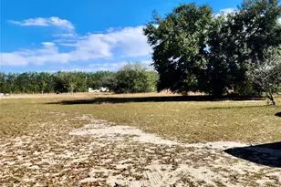 16021 SE 170th Ave, Weirsdale, FL 32195 - Photo 64