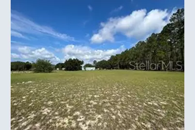 16021 SE 170th Avenue, Weirsdale, FL 32195 - Photo 32