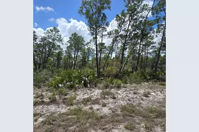 629 Parakeet Avenue, Sebring, FL 33872 - Photo 4