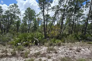 629 Parakeet Ave, Sebring, FL 33872 - Photo 4