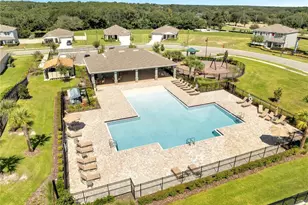 5258 Mahogany Dr, Mount Dora, FL 32757 - Photo 48