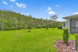 4071 Southern Vista Loop, Saint Cloud, FL 34772 - Photo 32