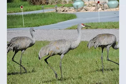 6591 Deland Avenue, Indian Lake Estates, FL 33855 - Photo 10