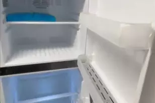 4127 Dolphin Dr, Tampa, FL 33617 - Photo 6