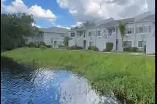 4127 Dolphin Dr, Tampa, FL 33617 - Photo 50
