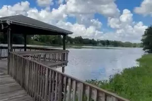 4127 Dolphin Dr, Tampa, FL 33617 - Photo 46