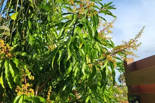 755 Kent Rd, Venice, FL 34293 - Photo 22