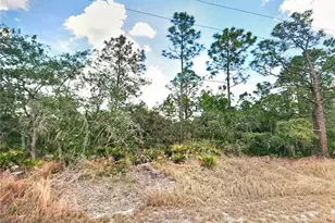 1129 Marabella Rd, Lake Placid, FL 33852 - Photo 1