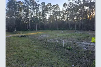 101 Anne Boulevard, Georgetown, FL 32139 - Photo 4