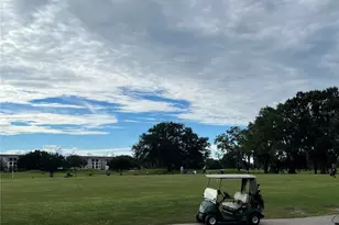 2009 Adair St, Ocoee, FL 34761 - Photo 32