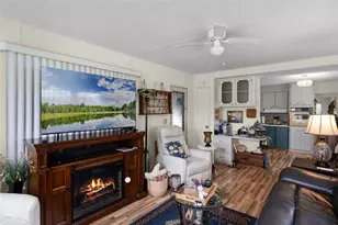 9 Cocos Plumosa Dr, Eustis, FL 32726 - Photo 12