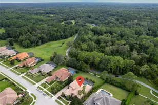 130 Osprey Hammock Trail, Sanford, FL 32771 - Photo 88