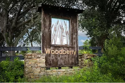 34534 Tree Frog Lane, Eustis, FL 32736 - Photo 2