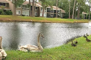 6124 Peregrine Ave, Orlando, FL 32819 - Photo 48