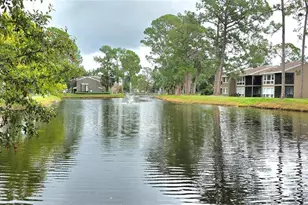 6124 Peregrine Ave, Orlando, FL 32819 - Photo 42