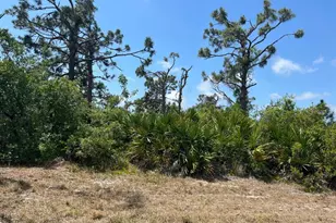 1 Skipper Ln, Placida, FL 33946 - Photo 1