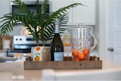 3873 Molera Beach Street, Davenport, FL 33837 - Photo 8