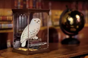 16100 Palm Frond Ave, Clermont, FL 34714 - Photo 58