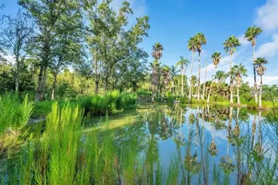 805 Baron Road, Orlando, FL 32828 - Photo 6