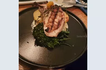 2920 On The Rocks Point, Kissimmee, FL 34747 - Photo 40