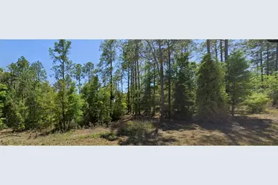 Se 5th Place, Williston, FL 32696 - Photo 1