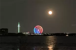 9245 Southern Breeze Dr, Orlando, FL 32836 - Photo 82