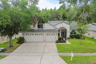 10217 Timberland Point Dr, Tampa, FL 33647 - Photo 1