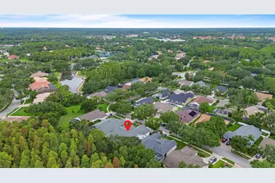 10217 Timberland Point Drive, Tampa, FL 33647 - Photo 8