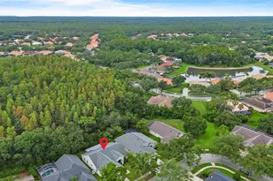 10217 Timberland Point Dr, Tampa, FL 33647 - Photo 10