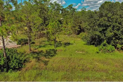 1219 Washington Avenue, Lehigh Acres, FL 33972 - Photo 1