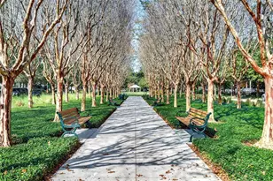 531 Water St, Celebration, FL 34747 - Photo 34