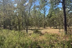 NW Ridgewood Rd, Dunnellon, FL 34431 - Photo 1