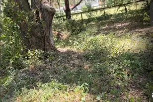 7171 NW 166th St, Trenton, FL 32693 - Photo 2