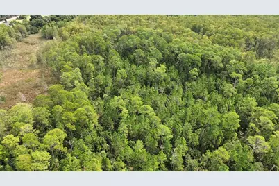 Pine Tree Drive, Eustis, FL 32726 - Photo 6