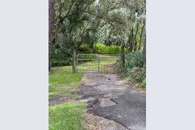 Pine Tree Drive, Eustis, FL 32726 - Photo 2